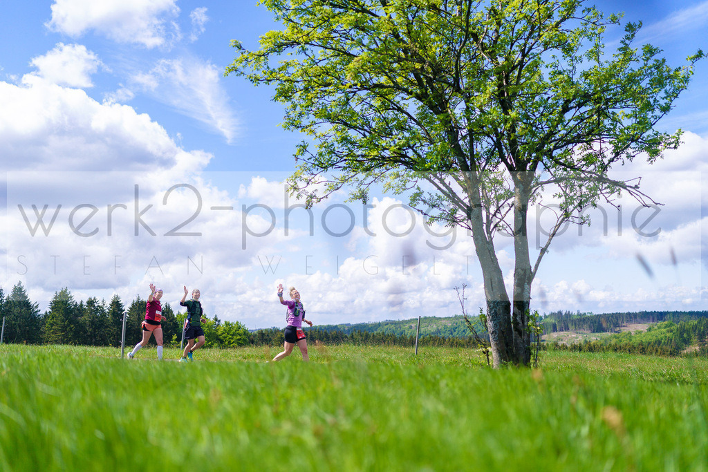 Rennsteiglauf Marathon 2025 | Marathon von Neuhaus/Rwg. nach Schmiedefeld/Rstg. am 17. Mai 2025