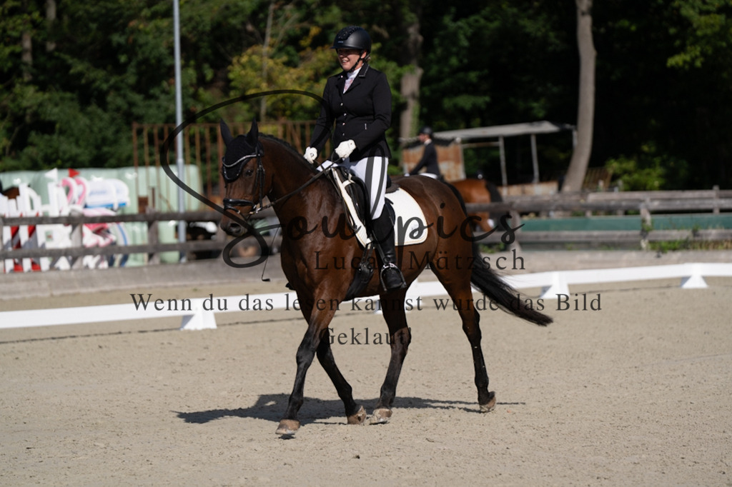 A7V06943 | Pferdefotograf