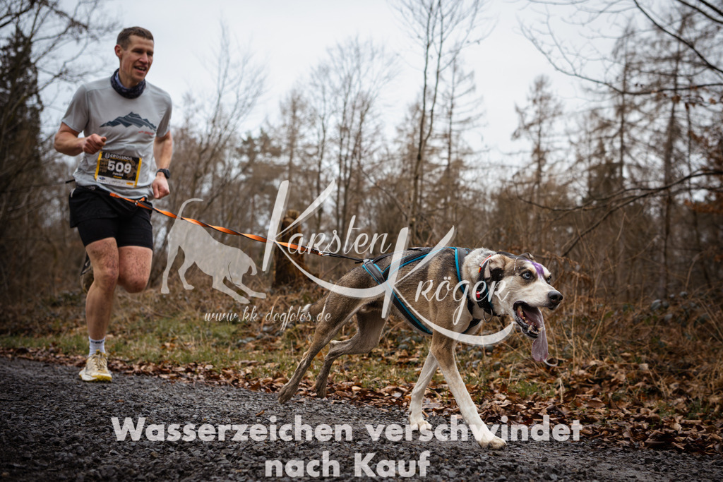 1051_ZZ97542 | kk-dogfotos