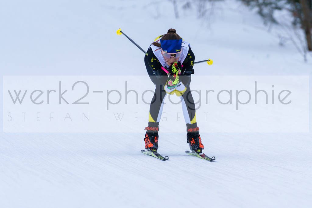 DSC Arber | Bayerischer Wald am 9. bis 12. Februar 2023
