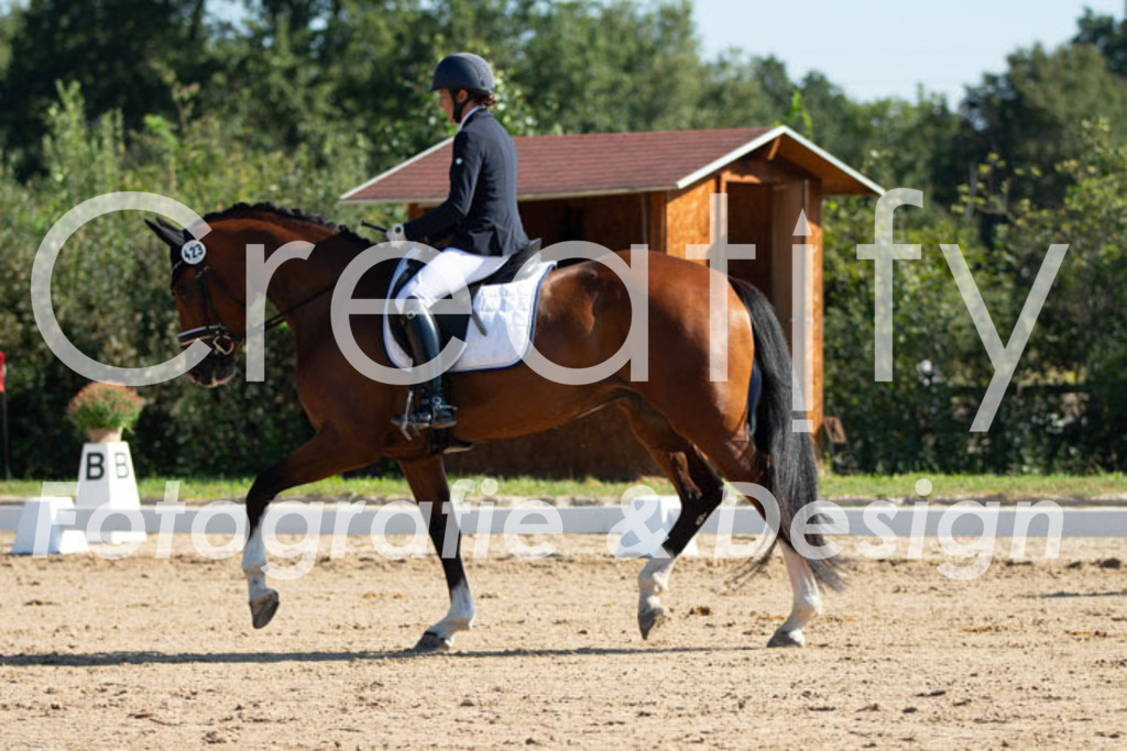 IMG_7556 | Creatify Fotografie