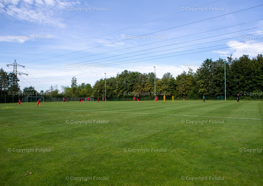 OEDT_53 | bilder, linz, photo, foto, fussball, sport, fotolui, bundesliga