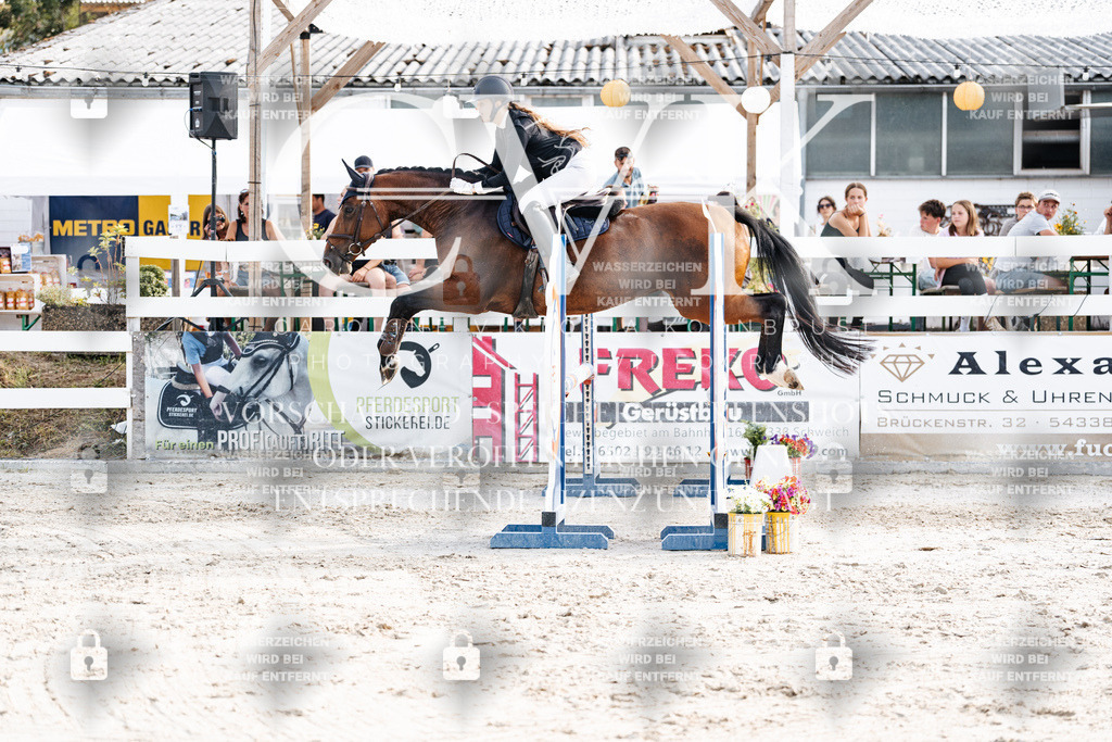 CK906465 | Turnierfotografie Pferdefotografie Trier Rheinland-Pfalz Pferdesport Reitsport Tierfotografie Sportfotografie Pferdevideo Pferdevideografie Equestrianvideography equestrianphotography  - Realisiert mit Pictrs.com
