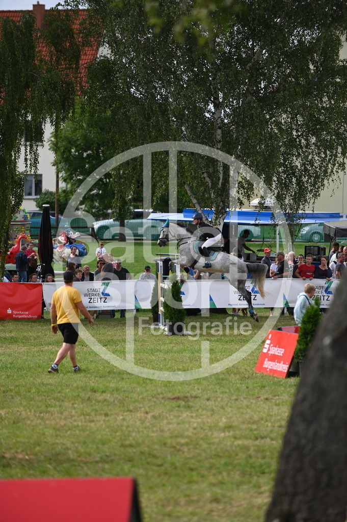 DSC_3203 | sattelsport - Realisiert mit Pictrs.com