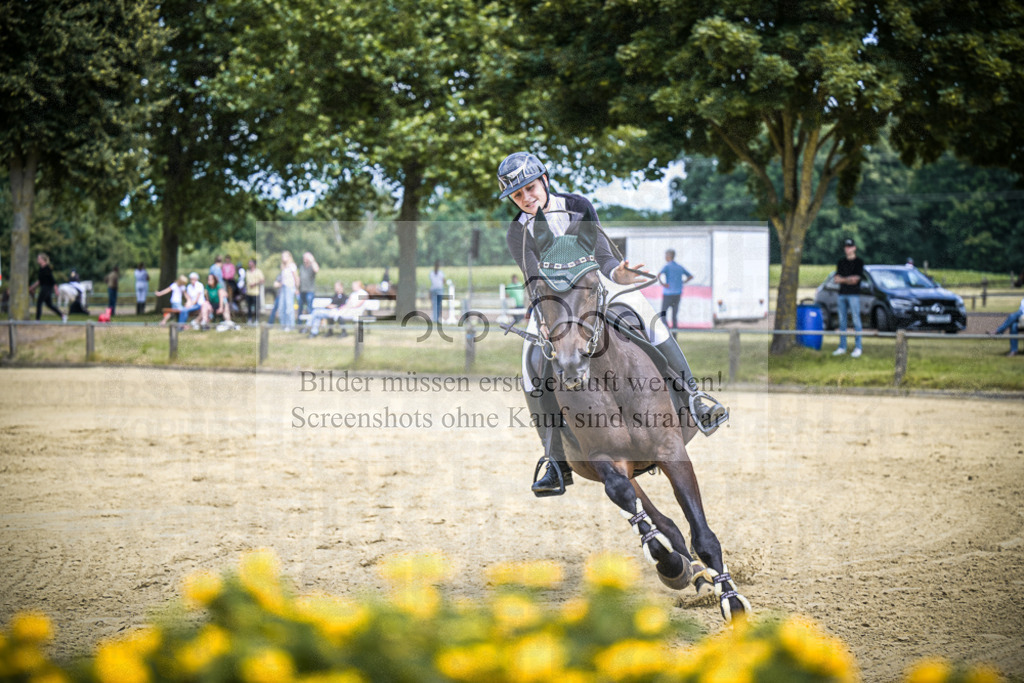 DOS_1501 | Entdecke hochwertige Reitturnierfotos von Foto Oger. Professionell, emotional und authentisch – jetzt Lieblingsmomente im Shop bestellen.Deutschlandweite Turnierfotografie. - Realisiert mit Pictrs.com