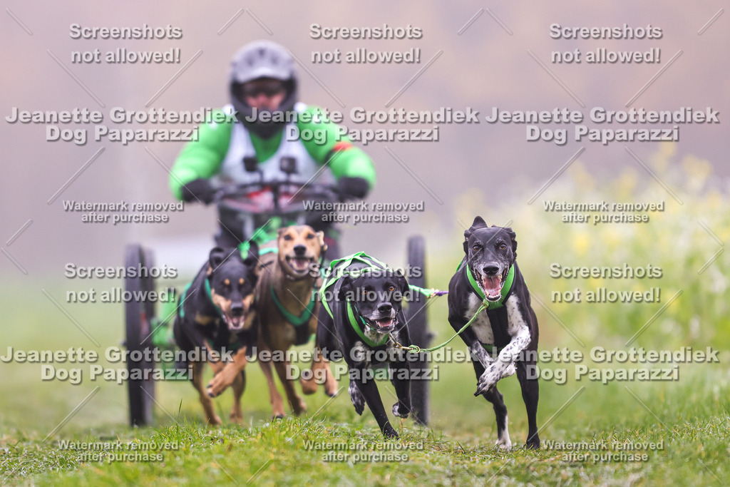 Dog Paparazzi - Visbeck 25 -14 | Dog Paparazzi Jeanette Grottendiek Fotografie & Videografie - Realisiert mit Pictrs.com