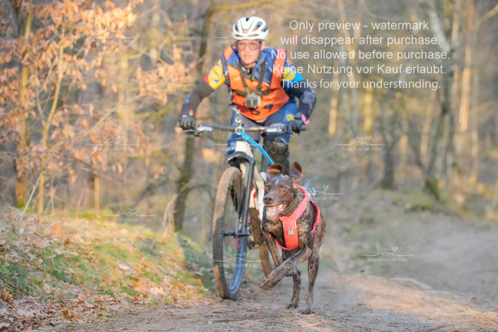 Sa_Bike-55 | stephaniefillaphotographie - Realisiert mit Pictrs.com