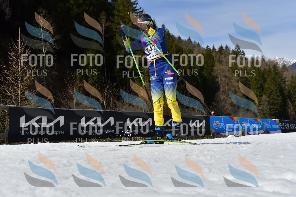 _DSC0221 | holidayphoto