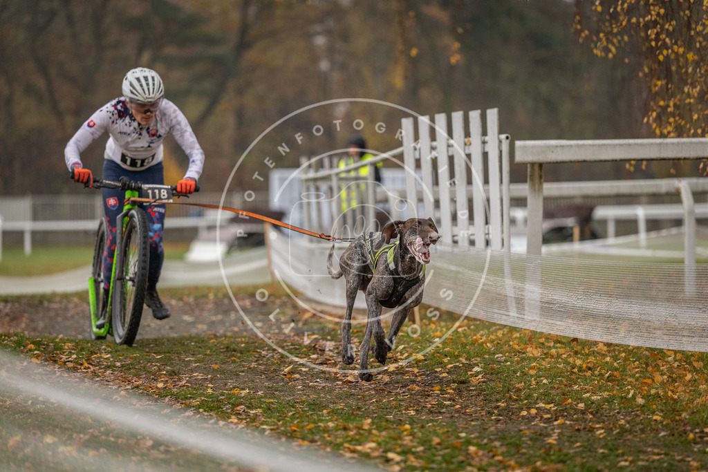 CaniXpix_DV3A7754 | Hundefotografie, Tierfotograf, Pfotenfotografie, Fotoshooting Hund, Hunde Portrait, Hundesport, Hundeportraits, Heideshooting, Hunde, Sportfotograf, Hundefotograf, Turnierhundsport, THS,  - Realisiert mit Pictrs.com