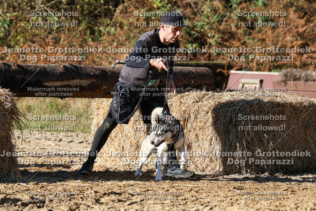 Dog Paparazzi - Strongdog 10-25-1918 | Dog Paparazzi Jeanette Grottendiek Fotografie & Videografie - Realisiert mit Pictrs.com