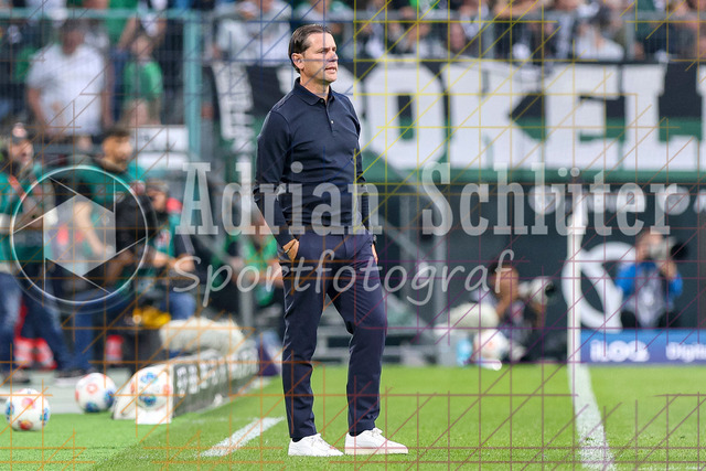 Borussia Mönchengladbach vs SV Werder Bremen - Bundesliga  | Mönchengladbach, Deutschland, 14.09.25:   Gerardo Seoane (Borussia Mönchengladbach) schaut waehrend des Spiels der Bundesliga zwischen Borussia Mönchengladbach vs SV Werder Bremen im Stadion im Borussia Park(Foto von Brauer-Fotoagentur / Adrian Schlueter)