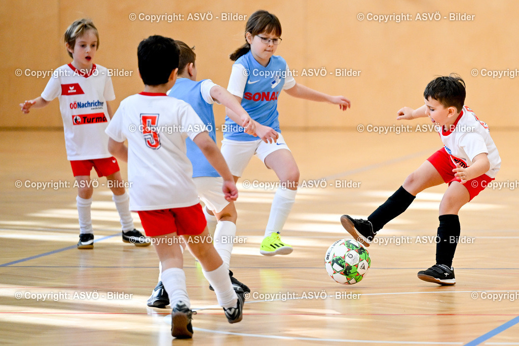 ASVÖ_ Fussballturnier SV Gallneukirchen_ 08.02.2025-109 | 08.02.2025, Gallneukirchen, AUT, ASVÖ, Fussball Nachwuchs Hallenturnier 2025, SV Gallneukirchen im Bild Teilnehmer U 7©Harald Dostal / fodo.media - Realisiert mit Pictrs.com
