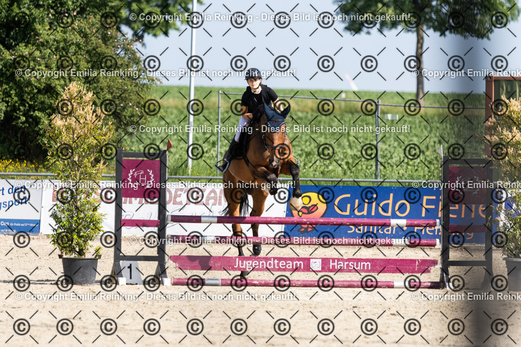 CL5A0166 | Emilia Reinking Fotografie - Realisiert mit Pictrs.com