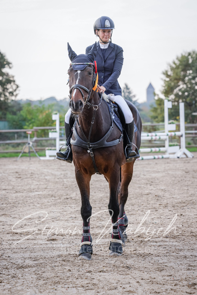 20251012-_3LI5938 | Tierfotografie Pferde, Hunde, Katzen, Haustiere.
Turnierfotografie Reitturniere, Reiten, Springreiten, Dressur in Hanau, dem Main-Kinzig-Kreis und dem Rhein-Main- Gebiet um Frankfurt