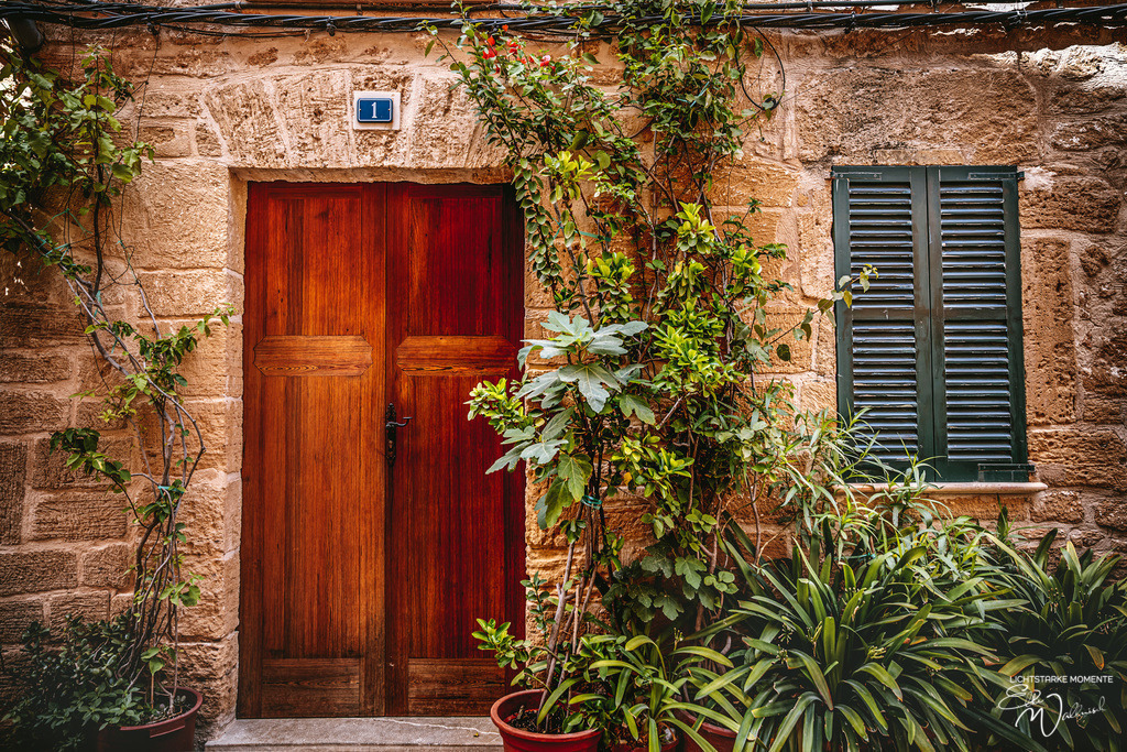 Alcudia, Mallorca | Herzlich willkommen auf meiner Seite! Ich bin Elke Wallnisch, Deine Fotografin für lichtstarke Momente. Der Name steht für alles, was mich mit der Fotografie verbindet: Das Licht und seine machtvolle Wirkung auf eine Situation oder unsere Stimmung - Realisiert mit Pictrs.com
