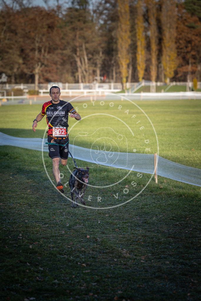 CaniXpix_DV3A2932 | Hundefotografie, Tierfotograf, Pfotenfotografie, Fotoshooting Hund, Hunde Portrait, Hundesport, Hundeportraits, Heideshooting, Hunde, Sportfotograf, Hundefotograf, Turnierhundsport, THS,  - Realisiert mit Pictrs.com