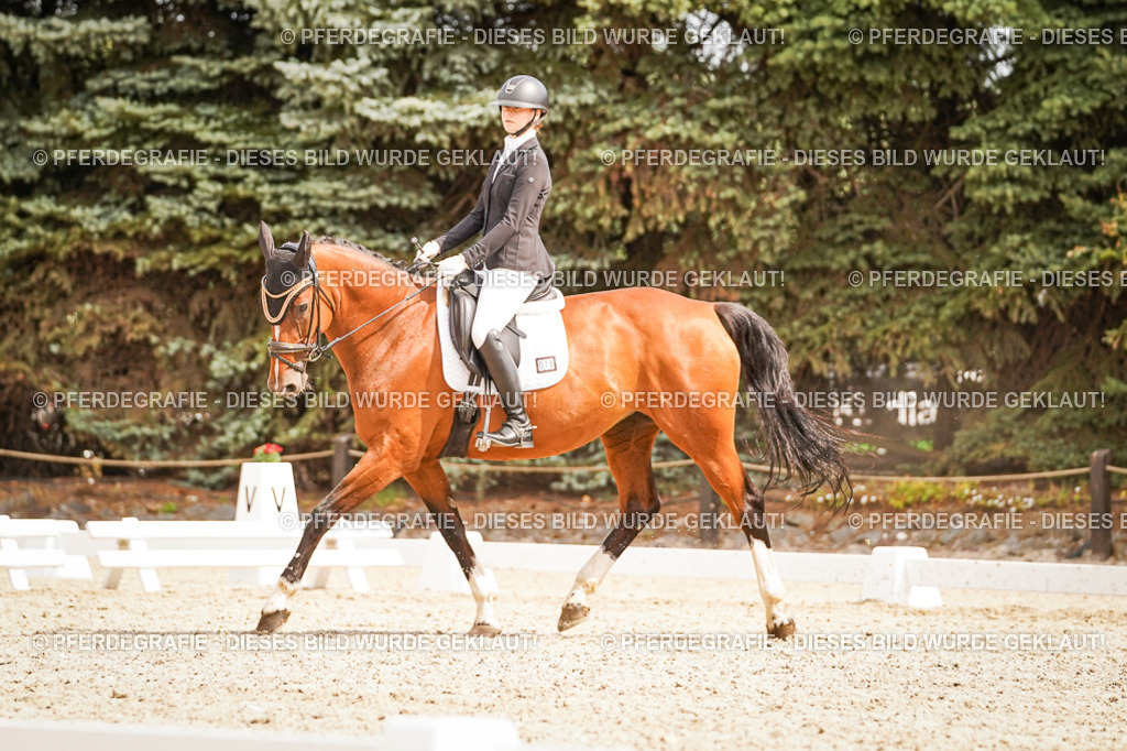 DSC01815 | Pferdegrafie