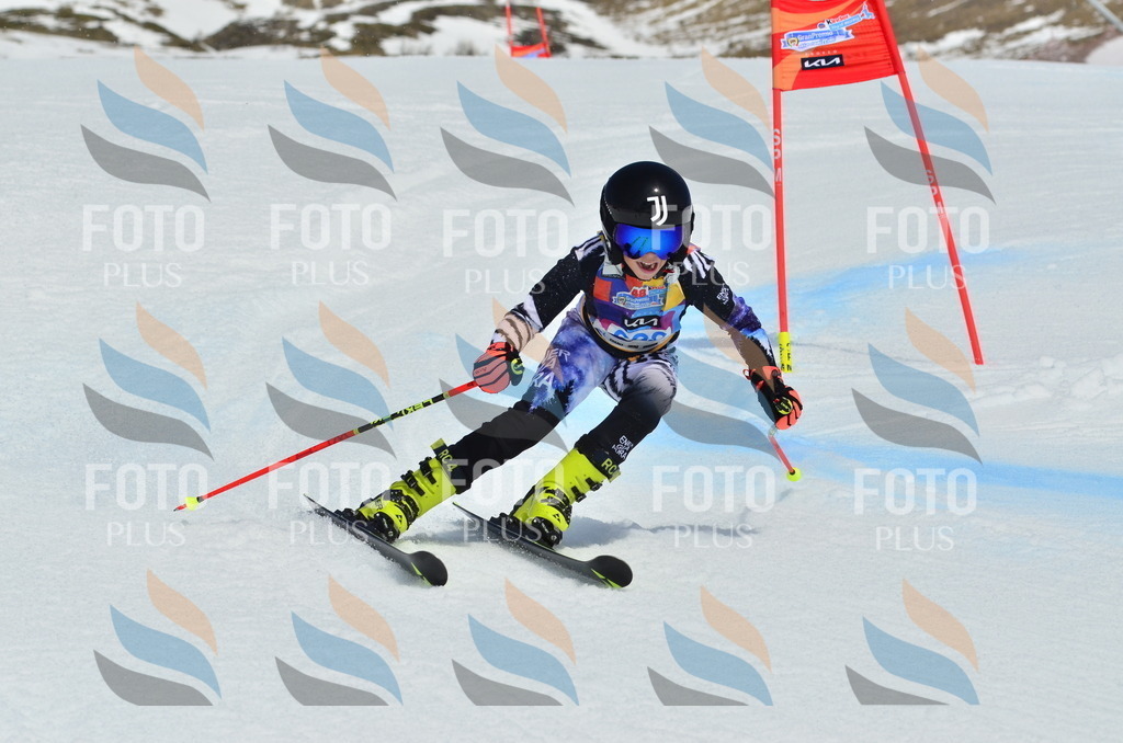 _ELE2053 | holidayphoto