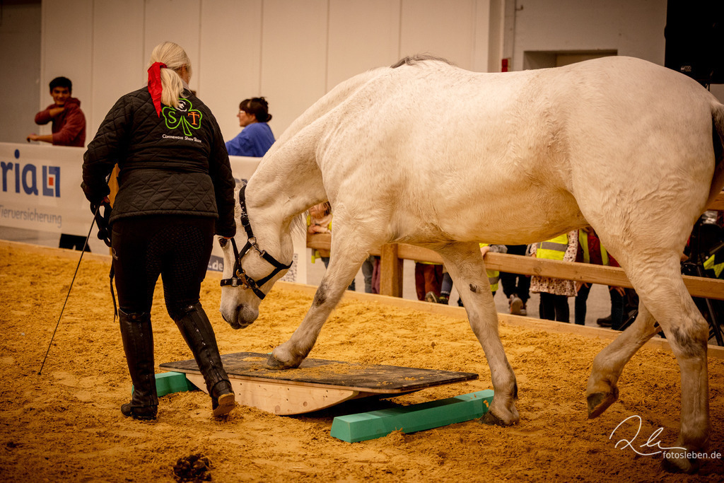 846A6157 | fotosleben - Realized with Pictrs.com