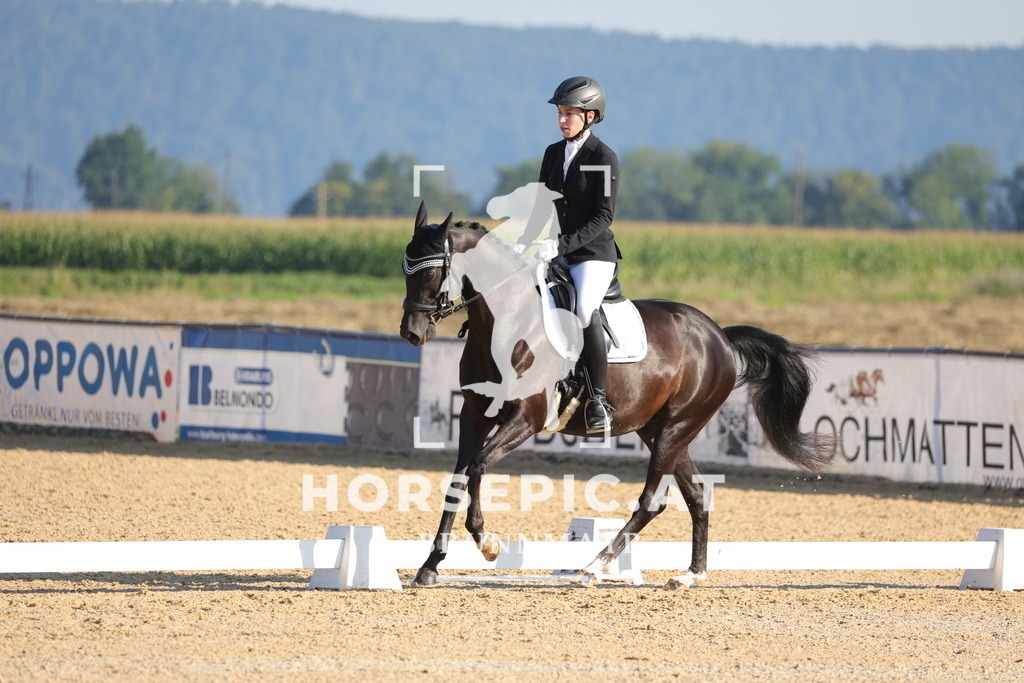 0P6A8444 | Willkommen bei Brunnmayr - Design & Fotografie – Ihrem Spezialisten für Reitturniere und Pferdeveranstaltungen in Oberösterreich, Salzburg und Bayern! Seit über 17 Jahren sind wir leidenschaftlich dabei.