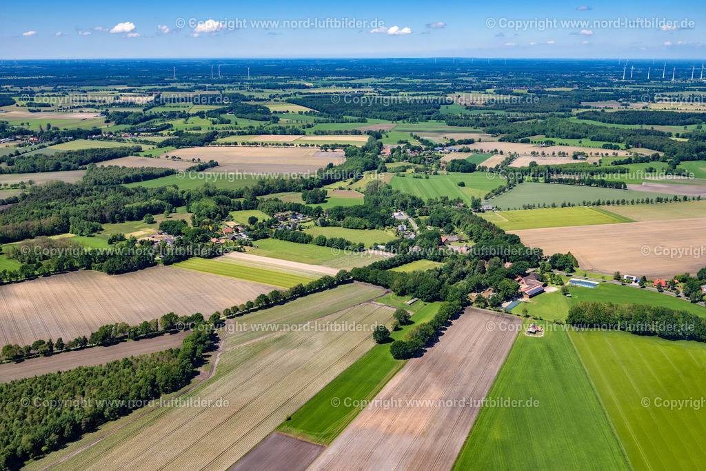 Reith_ELS_7035030622 | REITH 03.06.2022 Baumreihe an einem Feldrand in Reith im Bundesland Niedersachsen, Deutschland. // Row of trees in a field edge in Reith in the state Lower Saxony, Germany. Foto: Martin Elsen