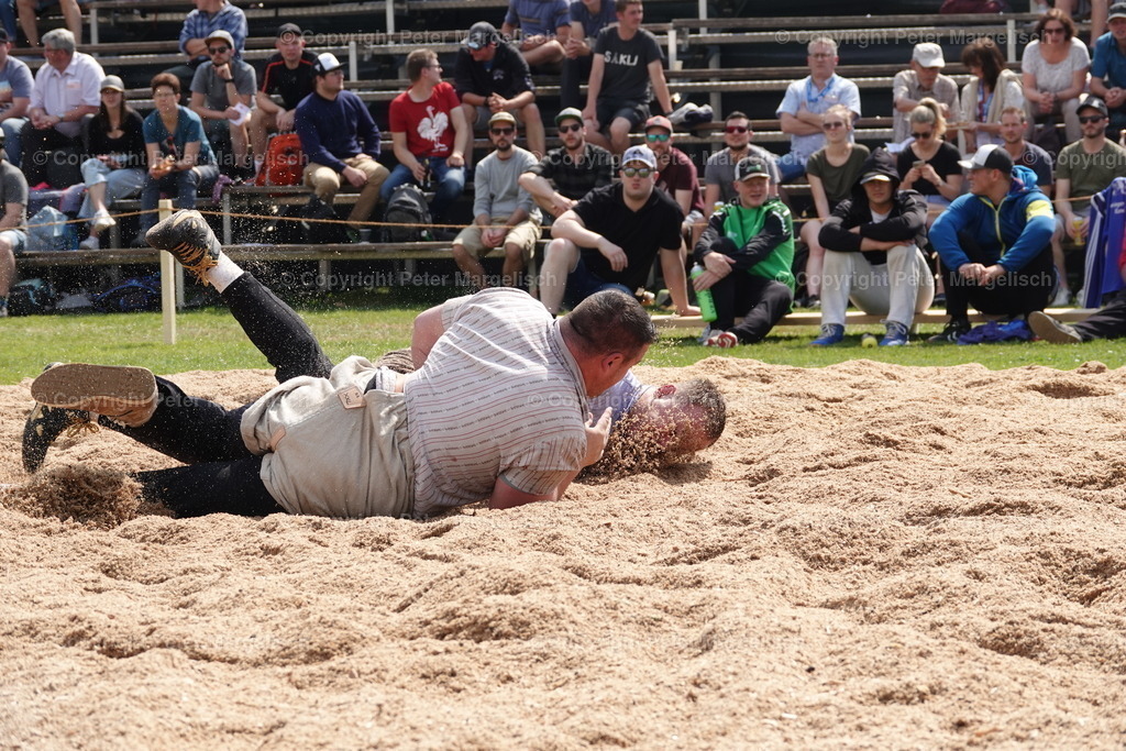 DSC04551 | Schwingen - Realisiert mit Pictrs.com