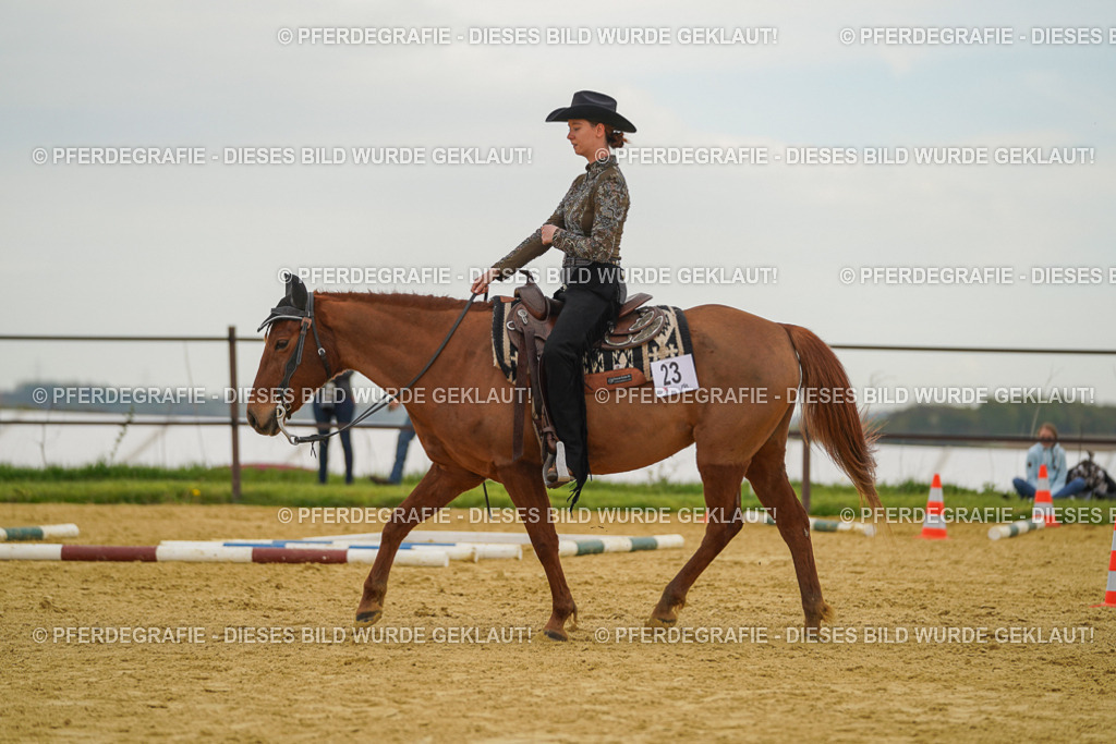 DSC02665 | Pferdegrafie