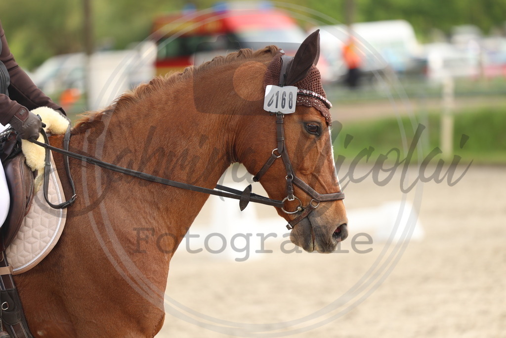 994A7855 | sabrinanicolaifotografie - Realisiert mit Pictrs.com