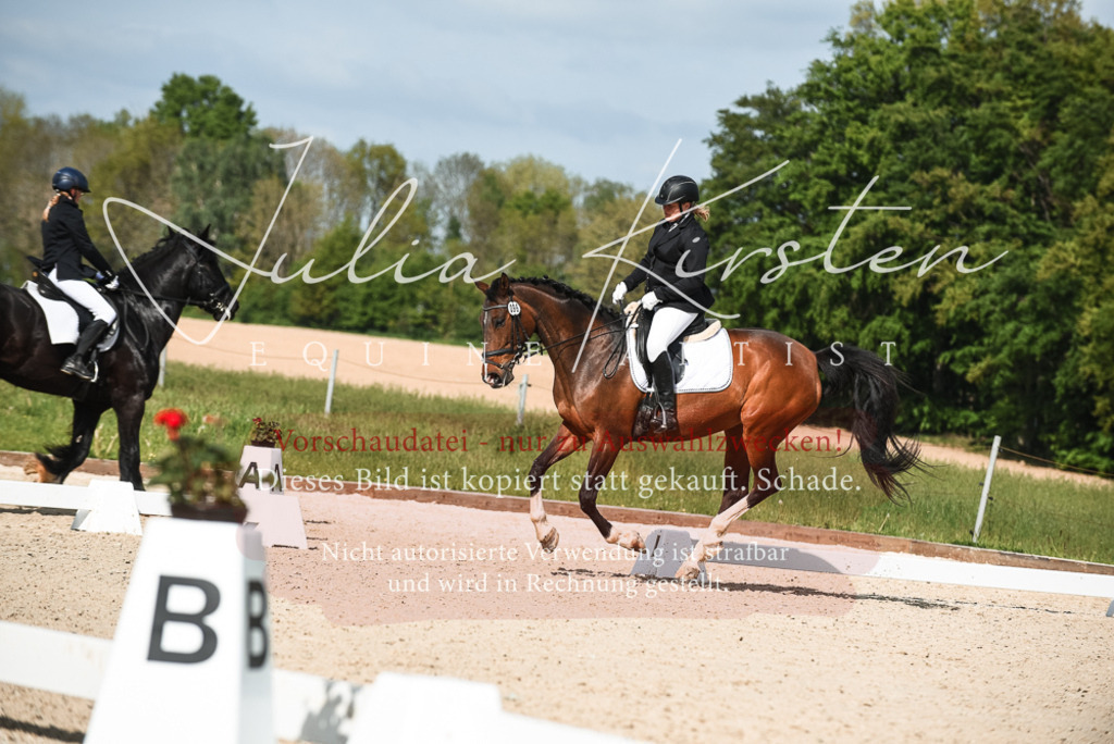 20230518_JK-Röhrsdorf-12-0404 | Pferde- und Turnierfotografie in Westsachsen. Pferdeportraits, Auftragszeichnungen und intuitive Kunst.