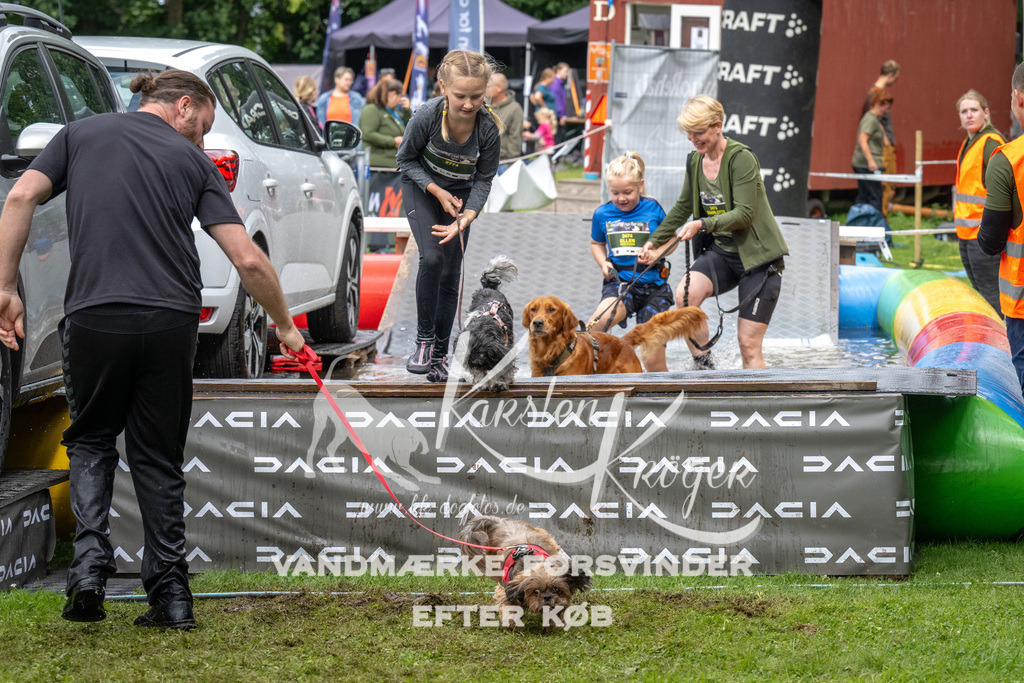1435_ZZ91498 | kk-dogfotos