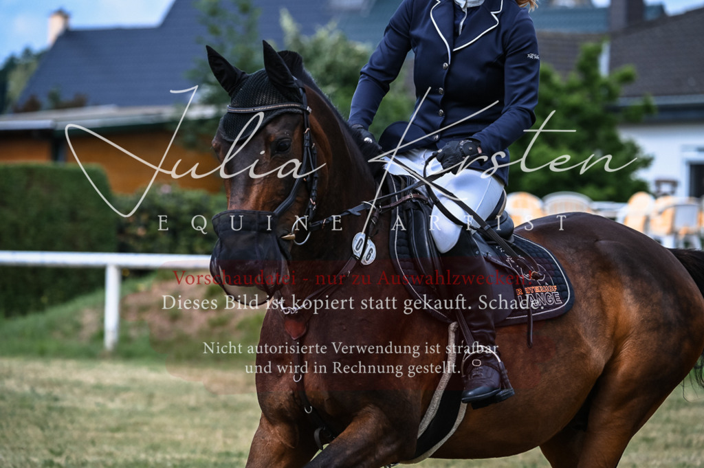 DSC_8262 | Pferde- und Turnierfotografie in Westsachsen. Pferdeportraits, Auftragszeichnungen und intuitive Kunst.