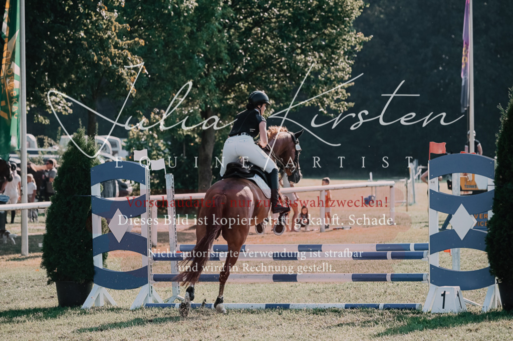 DSC_4640 | Pferde- und Turnierfotografie in Westsachsen. Pferdeportraits, Auftragszeichnungen und intuitive Kunst.