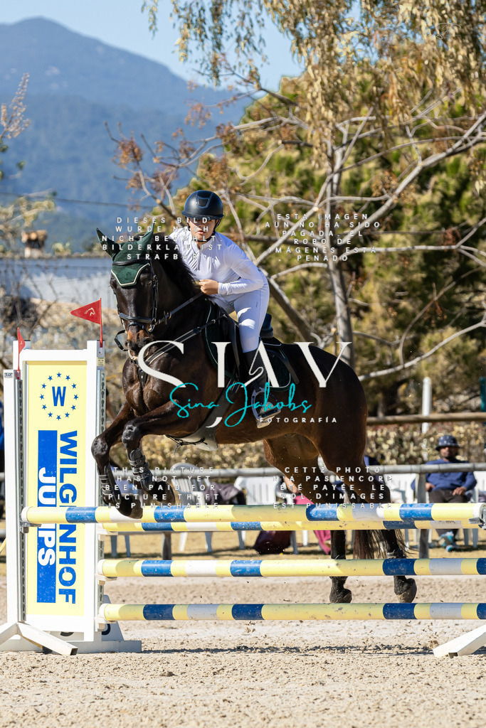 IMG_0104 | s-jay-photography - Realisiert mit Pictrs.com