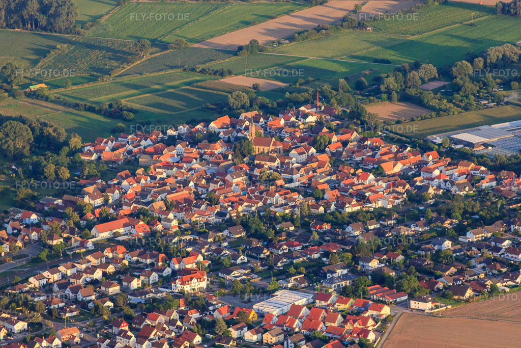 Luftbild: Ortsansicht von Nordwesten im Ortsteil Sondernheim in Germersheim im Bundesland Rheinland-Pfalz in Deutschland. Foto: IMG_51605.jpg vom 08.08.2012 durch Werner Riehm/FLY-FOTO.de