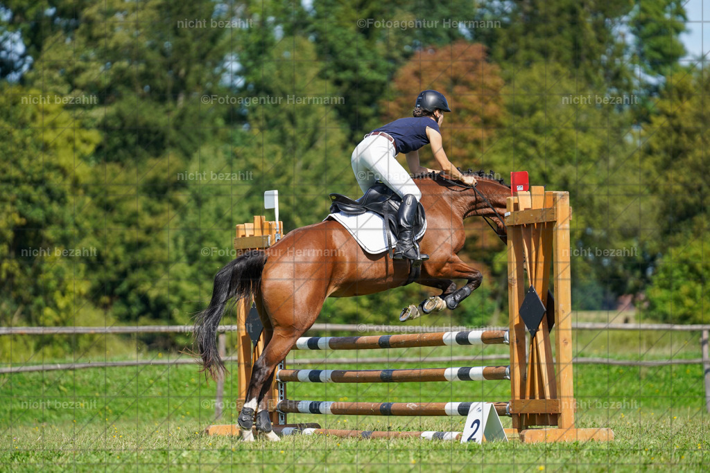 20230917-FAH09421 | Landsberg am Lech, 2023, Kaufbeuren, Kempten, Allgäu, Turnierfotografen Bayern, Fotoagentur Herrmann, Turnierbilder, Reitsport Fotos, Pferdefotograf, Augsburg, Bad Tölz, Dachau, Karlsfeld, Memmingen, Buchloe, Schwabmünchen