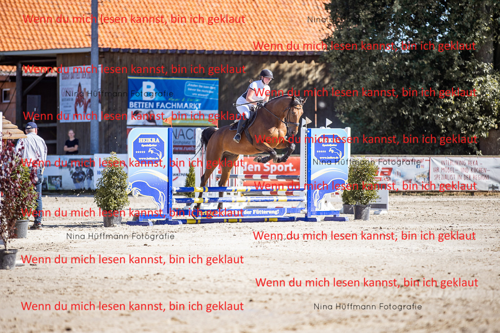 BK1A7908 | Turnierbilder Turnierfotos Nina Hüffmann Turnierfotografie Pferdefotografie Tierzeichnung Haustierzeichnung Pferdezeichnung Hundezeichnung Videograf  - Realisiert mit Pictrs.com
