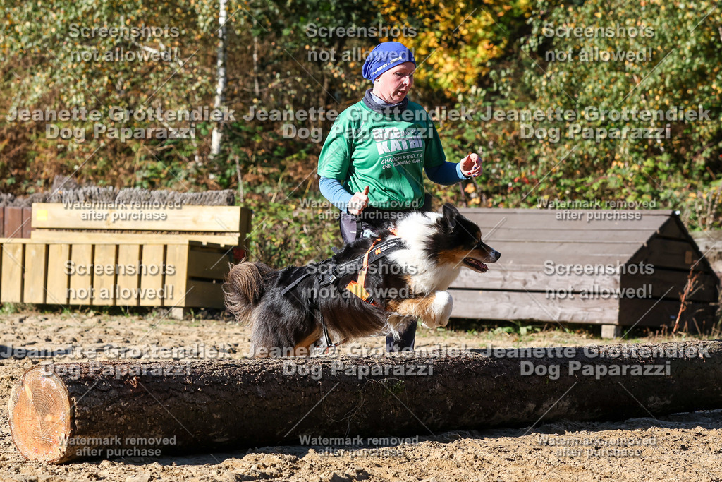 Dog Paparazzi - Strongdog 10-25-2301 | Dog Paparazzi Jeanette Grottendiek Fotografie & Videografie - Realisiert mit Pictrs.com