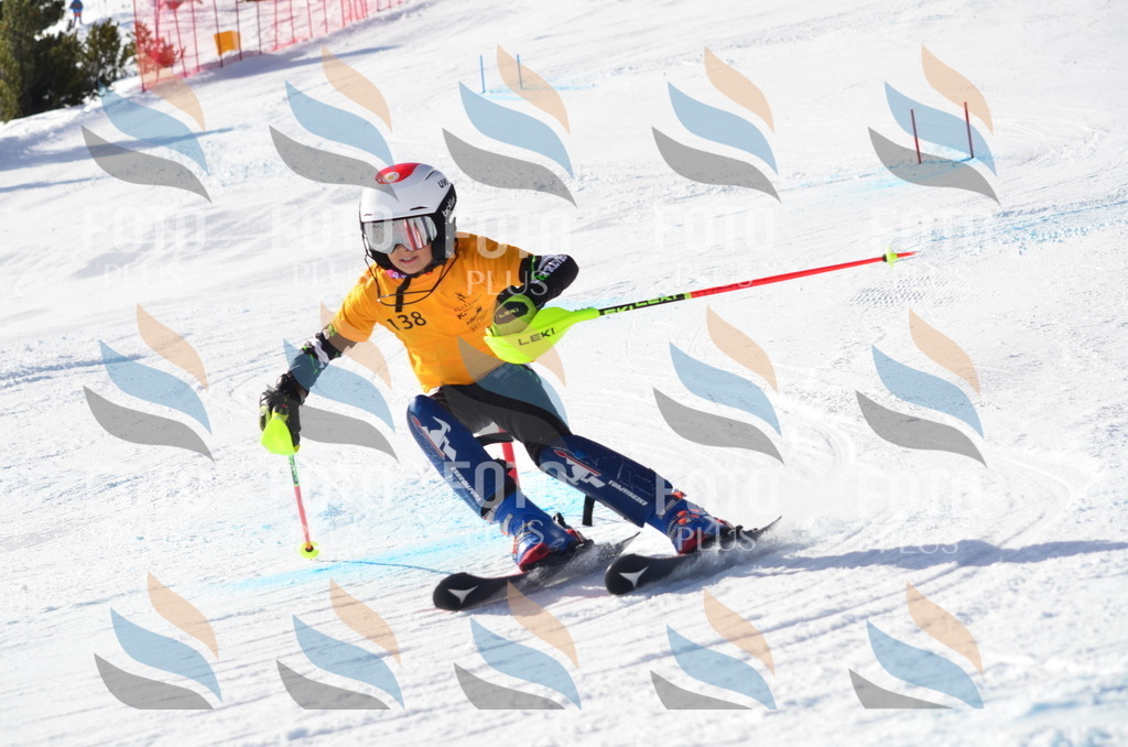 C6513 | holidayphoto