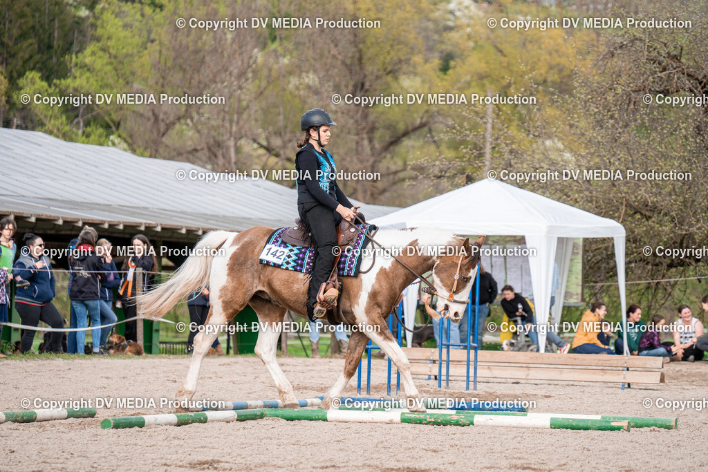 BAL02817 | dv-media-shop - Realisiert mit Pictrs.com