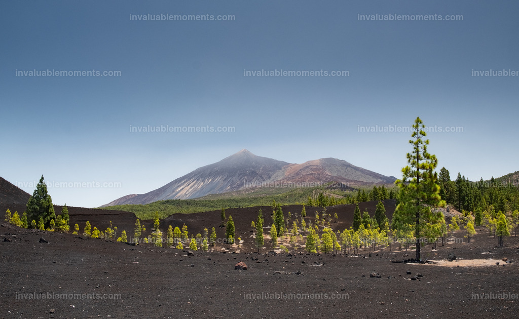 DSCF3966 | invaluablemoments.com - Realisiert mit Pictrs.com