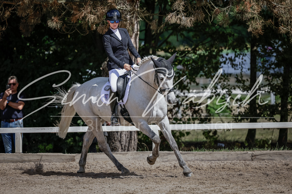 20250906-_3LI5673 | Tierfotografie Pferde, Hunde, Katzen, Haustiere.
Turnierfotografie Reitturniere, Reiten, Springreiten, Dressur in Hanau, dem Main-Kinzig-Kreis und dem Rhein-Main- Gebiet um Frankfurt