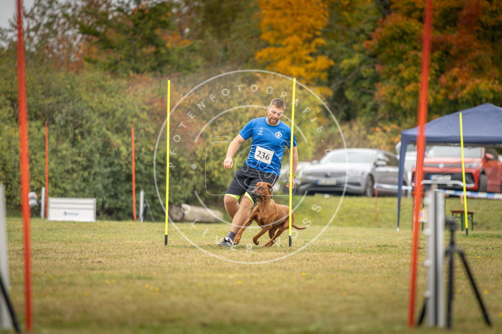 Pfotenfotografie_DV3A5230 | Hundefotografie, Tierfotograf, Pfotenfotografie, Fotoshooting Hund, Hunde Portrait, Hundesport, Hundeportraits, Heideshooting, Hunde, Sportfotograf, Hundefotograf, Turnierhundsport, THS,  - Realisiert mit Pictrs.com