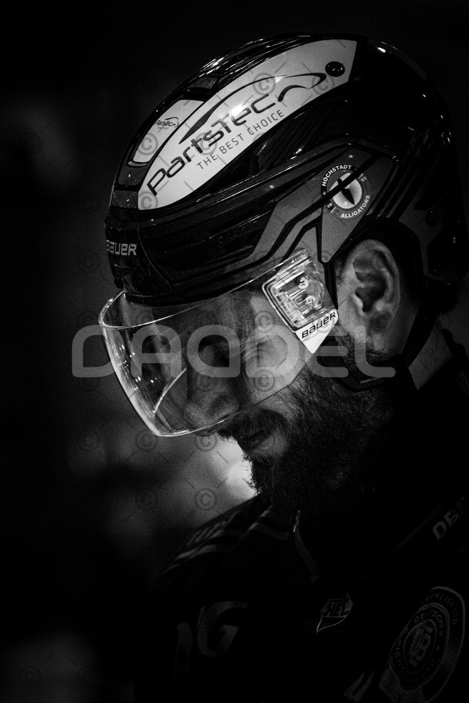 Alligators_vs_Toelz_15_02_2026-57 | Höchstadt Alligators Fotogalerie: Eishockey-Action aus Franken. Professionelle Spielfotos, Portraits & Stadionbilder zum Download. Jetzt entdecken! - Realized with Pictrs.com