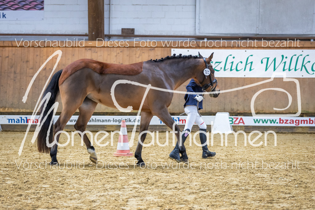 Sth-WBO25-Führ-WB-059 | MomenTaufnahmen Pferdesportfotos