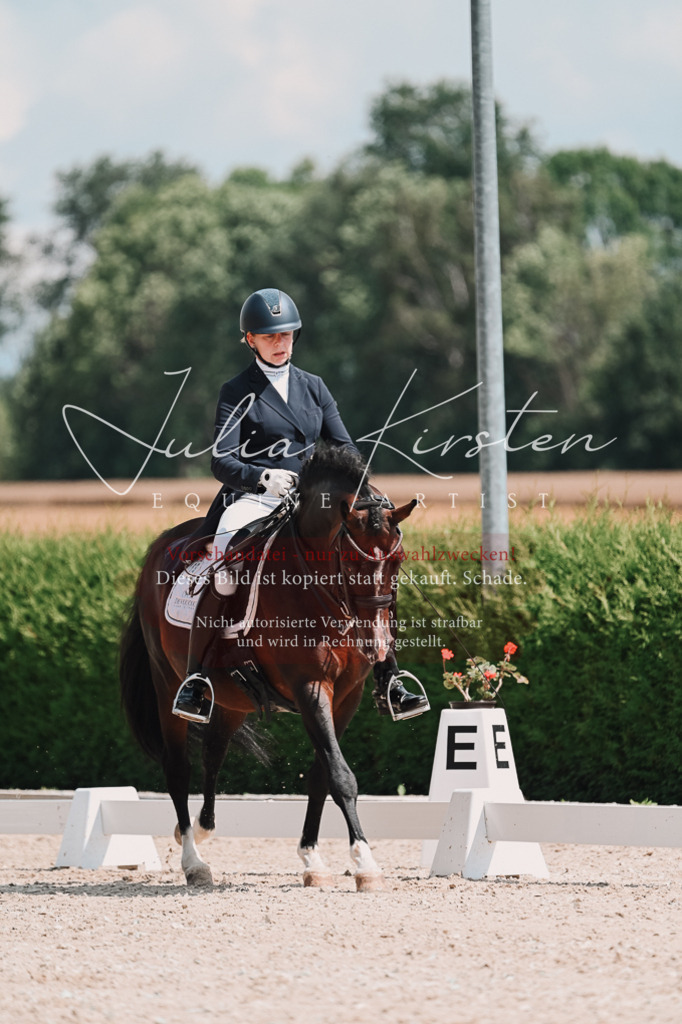 DSC_3911 | Pferde- und Turnierfotografie in Westsachsen. Pferdeportraits, Auftragszeichnungen und intuitive Kunst.