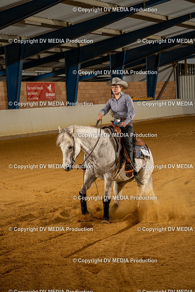 MIT00557 | dv-media-shop - Realisiert mit Pictrs.com