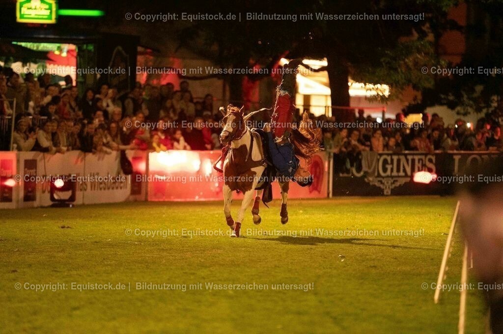 20230526_Pferdenacht_1225 | equistock