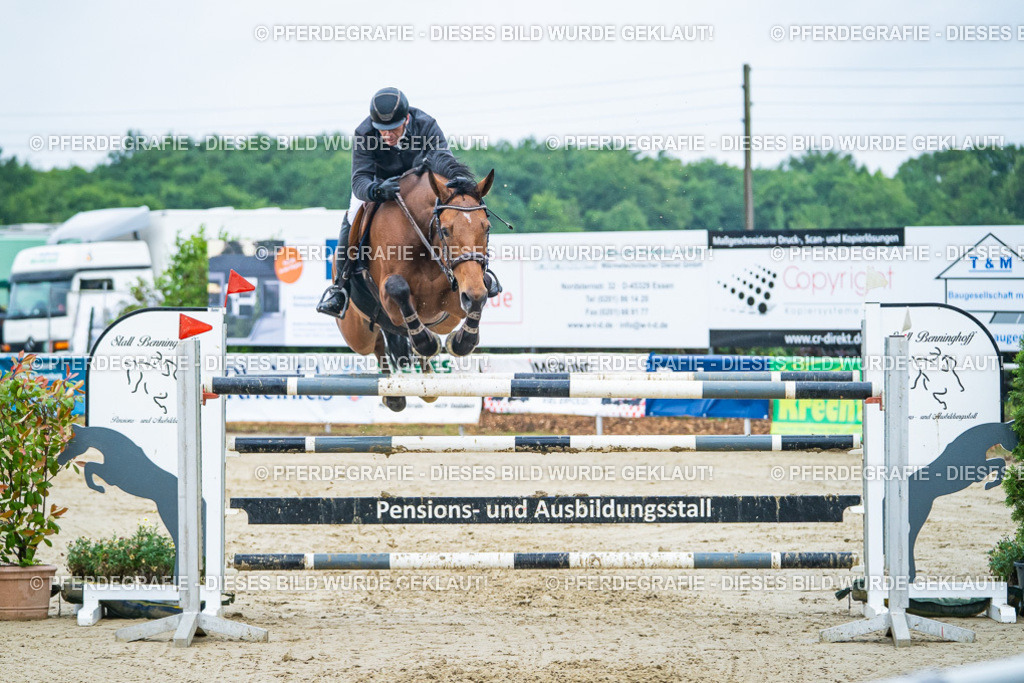 DSC00403 | Pferdegrafie