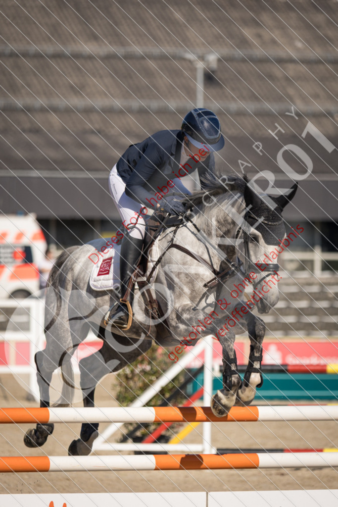 IMG_3021 | Sport-, Event- und Tierfotos in Profiqualität. Einfach auswählen, bestellen und herunterladen. Dein Moment – perfekt festgehalten.
