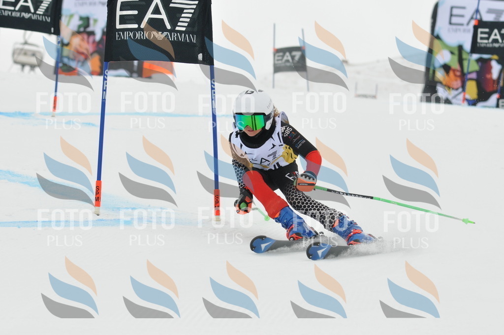 DSC_8251 | holidayphoto